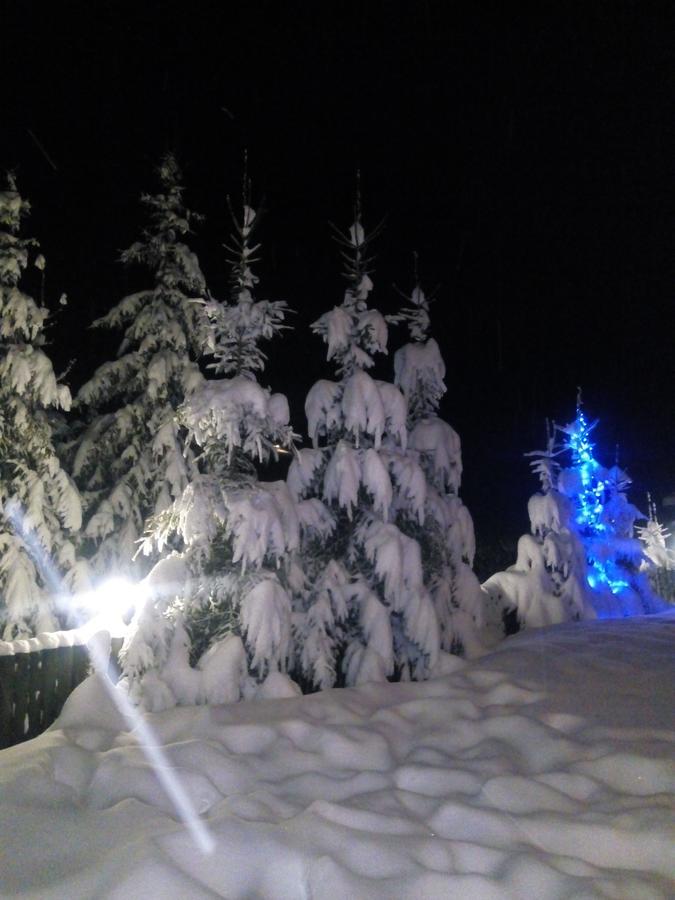 Villa Yalivets Oryavchyk Esterno foto